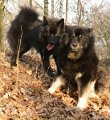 rudel_3 (25)